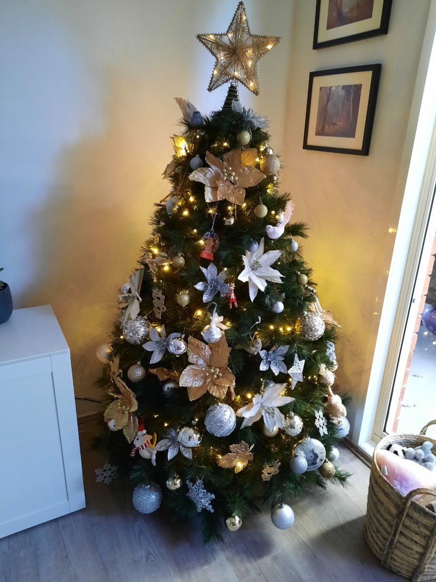 Real or fake Christmas Tree? Everyday Chat Everybump Parenting