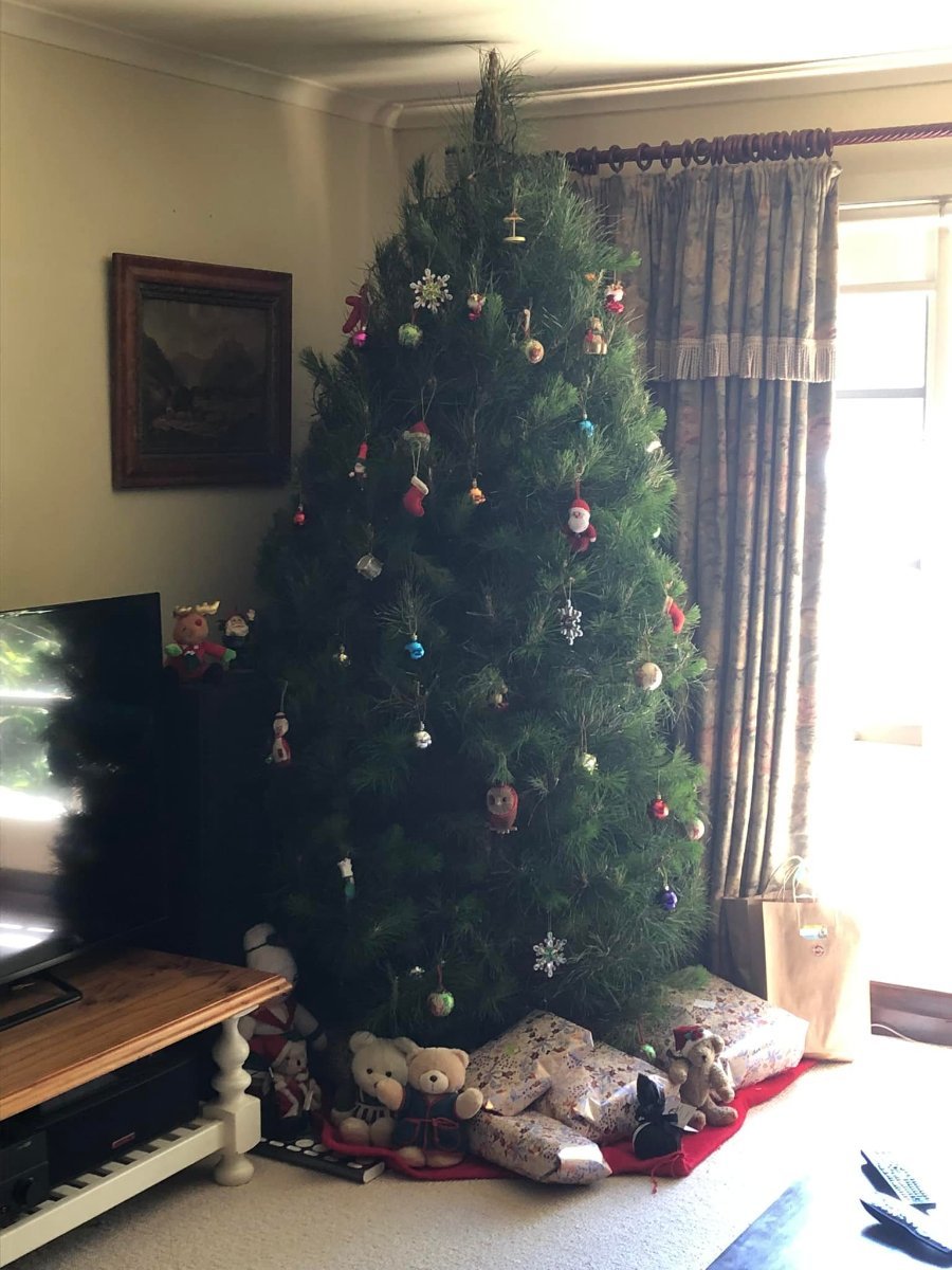 Real or fake Christmas Tree? Everyday Chat Everybump Parenting